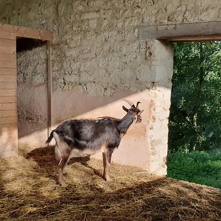 Verdonne Country house Chivres-Val
